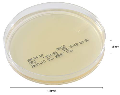 Triptik Soya Agarı (TSA), USP, Mikroorganizmalar için Genel Bir Büyüme Ortamı, 15x100mm Plaka, 100'lük Kutuya Göre