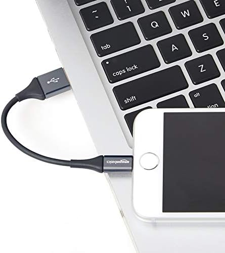 Basics Lightning Konnektörlü USB A Kablosu, Premium Koleksiyon, MFi Sertifikalı Apple iPhone Şarj Cihazı, 4 inç,