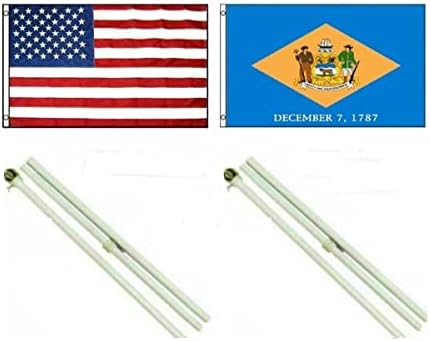 AES 3x5 3'x5' ABD Amerikan w/Delaware Eyaleti Bayrağı w/İki 6 ' Beyaz Bayrak Direği Direği Kitleri Kartal Topper