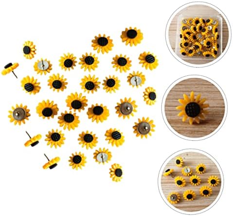 STOBOK 120 adet Çiçek için Değiştirin Kullanımlık Küçük Raptiye Dekoratif Fotoğraflar Mantar Pin Ofisler Raptiyeler