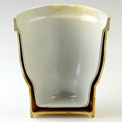 ー ーー ーシ ーン ン(Ctoc Japan) Mağaza Sofra Takımı Japon Sake / Shochu Camı, 8,7 cm, beyaz