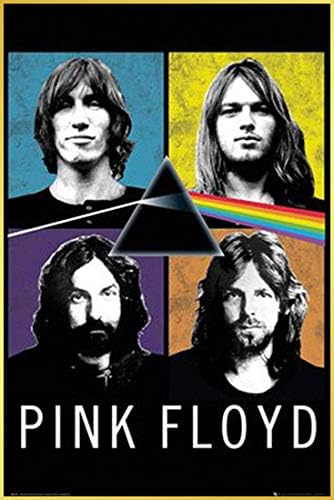 TriX Sanat Çerçevesi / İnsanlar Altın 36x24 Poster Pink Floyd + Alüminyum Çerçeve Altın LP-2114G