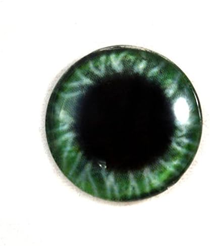 25mm Geniş Yeşil ve Siyah Cam Göz Fantezi Göz Küresi Tahnitçilik Heykeller veya Takı Yapımı Kolye El Sanatları 1 İnç
