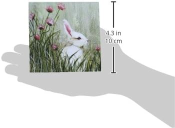 3dRose CST_44349_3 Pembe Kır Çiçekleri ile Uzun Çimlerde Tavşan Tavşanının Yandan Görünümü - Seramik Karo Bardak Altlığı,