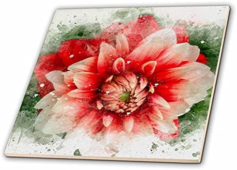 Suluboya Karoların 3dRose Parlak Kırmızı Ombre Çiçek Görüntüsü (ct_349408_1)