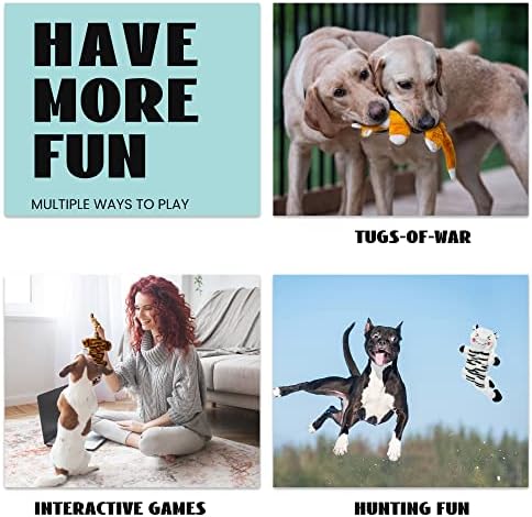 Noccıola 5 ADET Buruşuk Köpek Gıcırtılı Oyuncaklar, Dayanıklı Köpek Oyuncak Agresif Çiğneme, Hiçbir Doldurma Vücut