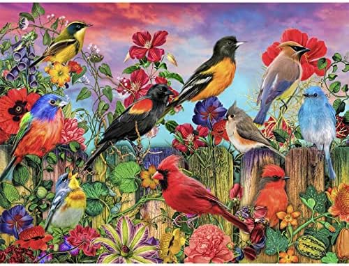 Hayvan Serisi Elmas Boyama Kitleri Yetişkinler için Renkli Kuş DIY Yuvarlak Tam Matkap 6D Elmas Sanat ev duvar dekoru