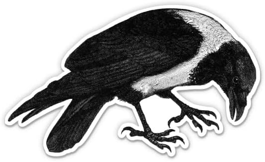 Siyah Raven Vintage İllüstrasyon Sticker-3 laptop etiketi - Su Geçirmez Vinil Araba, Telefon, Su Şişesi-Raven Çıkartması