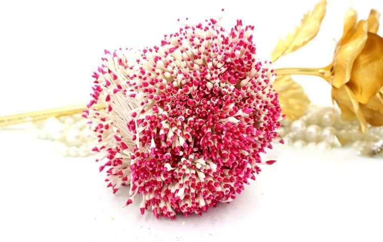HZLXF1 900 adet/grup 1mm Çok Renkli Çift İpuçları Çiçek Pistil Ercik DIY Düğün Dekorasyon için (Renk: Açık Sarı Beyaz)