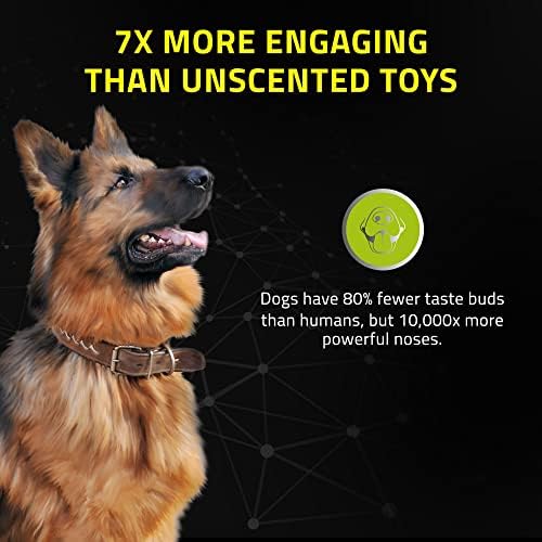 Playology Gıcırtılı Çiğneme Topu Köpek Oyuncak, Orta / Büyük Köpekler için (10lbs ve Üstü) 2'li Paket-En Ağır Çiğnemeler