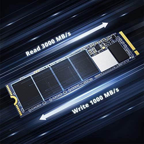 PIONEER 256 GB NVMe SSD PCIe M. 2 2280 Gen 3x4 TLC Dahili Yüksek Hızlı Okuma / Yazma kadar 3100/1000 mb/s Katı Hal
