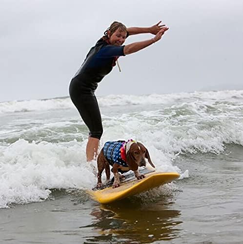 Rayuwen Köpek yüzme yeleği Köpek Giysileri Yaz Baskılı Mayo D Tipi Halka Yansıtıcı Nefes Örgü Mayo Havuzu Plaj Tekne