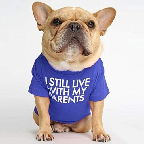 Köpek Gömlek Pet Giysi için Büyük Boy Fransız Bulldog Köpek Kedi Nefes Köpek T-Shirt Pet Kostüm S M L XL XXL Yeni