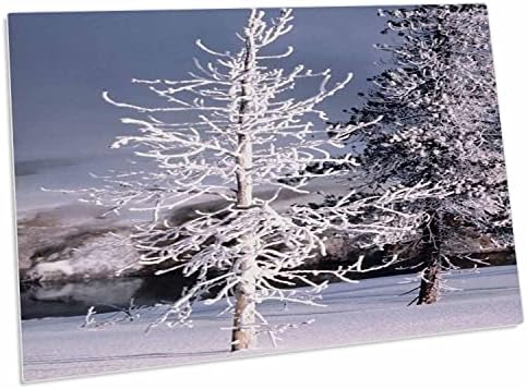 3dRose Karla Kaplı Ağaç-Masa Pedi Yer Paspasları (dpd-284909-1)