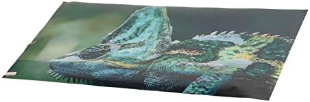 KUIDAMOS Akvaryum Arka Plan, güvenlik Balık Tankı Etiket Aşınma Direnci 3D Efektleri PVC Malzeme Balık Tankı için(61