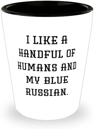 Güzel Mavi Rus Kedisi Kadehi Vurdu, Bir Avuç insanı ve Mavi Rus'umu Seviyorum, Arkadaşlar için Harika, Doğum Günü