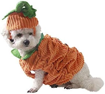 Leowow Pet cadılar bayramı kıyafetleri Köpek Kabak Kostümleri Küçük Orta Büyük Köpekler için-XXL