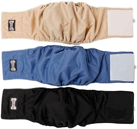 WALNUTA Pet Şort İç Çamaşırı Fizyolojik Bezi Sıkma Pet Pantolon Pet Hijyen Pantolon (Renk: Siyah, Boyut: L Kodu)