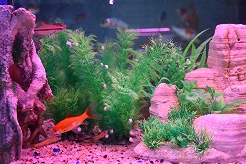 Smarlin Yapay Akvaryum Bitkileri, Plastik Balık Tankı Bitkiler Dekor, 2 Paket, Toksik Olmayan ve Tüm Balıklar için