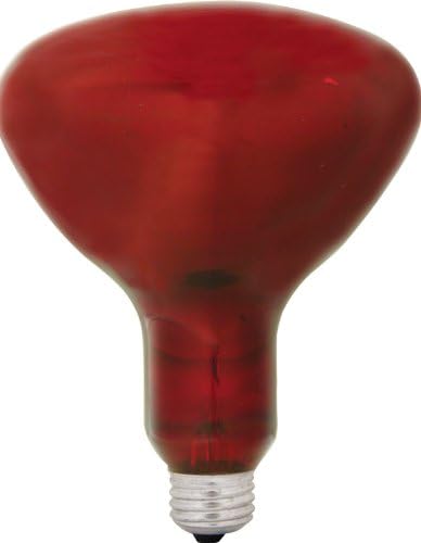 250 WATT kırmızı ısı lambası R40 ampul 125 Volt