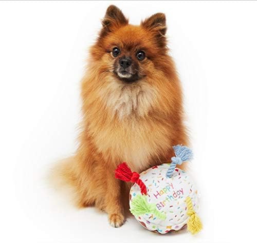 Pet Londra Köpek Doğum Günü Pastası Gıcırtılı Yumuşak peluş oyuncak Halat Mumlar ile Eğlenceli Mutlu Parlak Renkler-Köpeğinizin