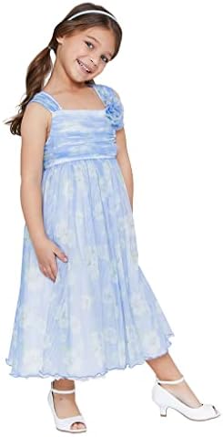 Bonnie Jean Kızın Küçük ve Büyük Kızlar için Mavi Çiçekli Elbisesi